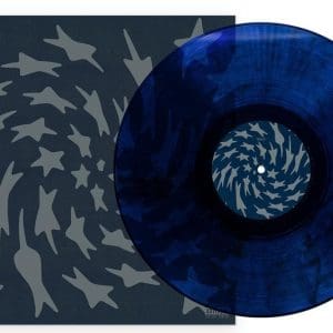 Toro Y Moi - Hole Erth (Clear Blue Smoke Coloured Vinyl) (Mint) -